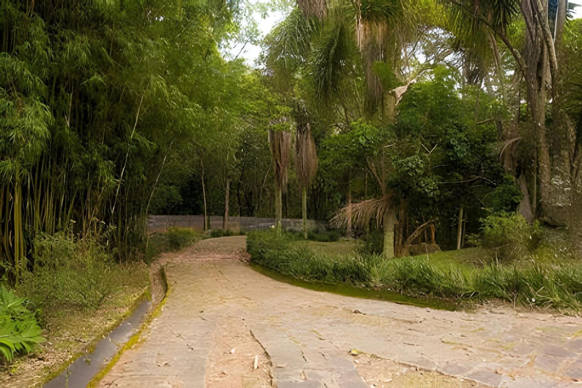 Willa Sitio Em Sao Roque, Paraiso Ao Lado De Sao Paulo! Zewnętrze zdjęcie