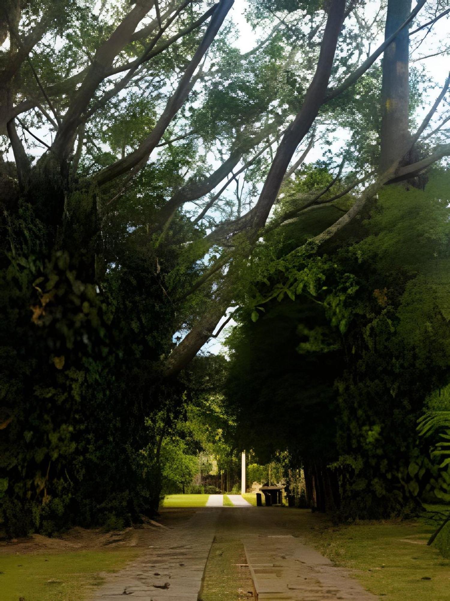 Willa Sitio Em Sao Roque, Paraiso Ao Lado De Sao Paulo! Zewnętrze zdjęcie