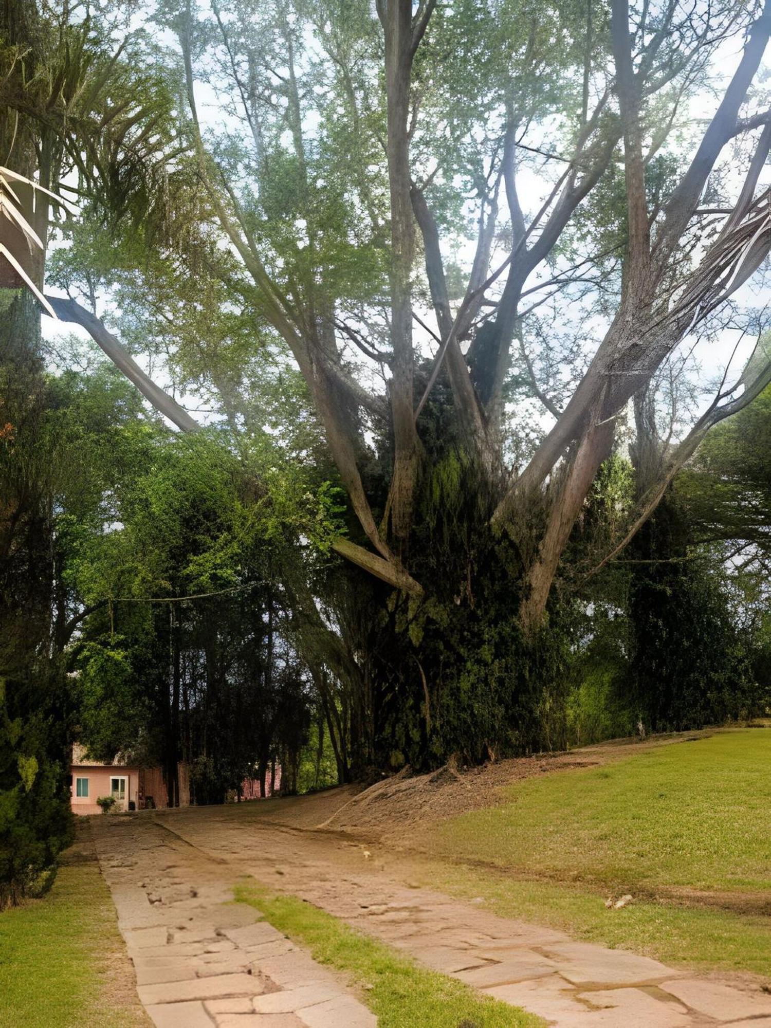 Willa Sitio Em Sao Roque, Paraiso Ao Lado De Sao Paulo! Zewnętrze zdjęcie